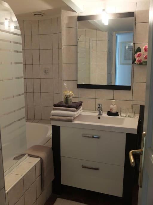 Апартаменты Charming Flat In Historical Centre Дижон Экстерьер фото